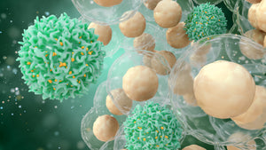 What is Immunotherapy?