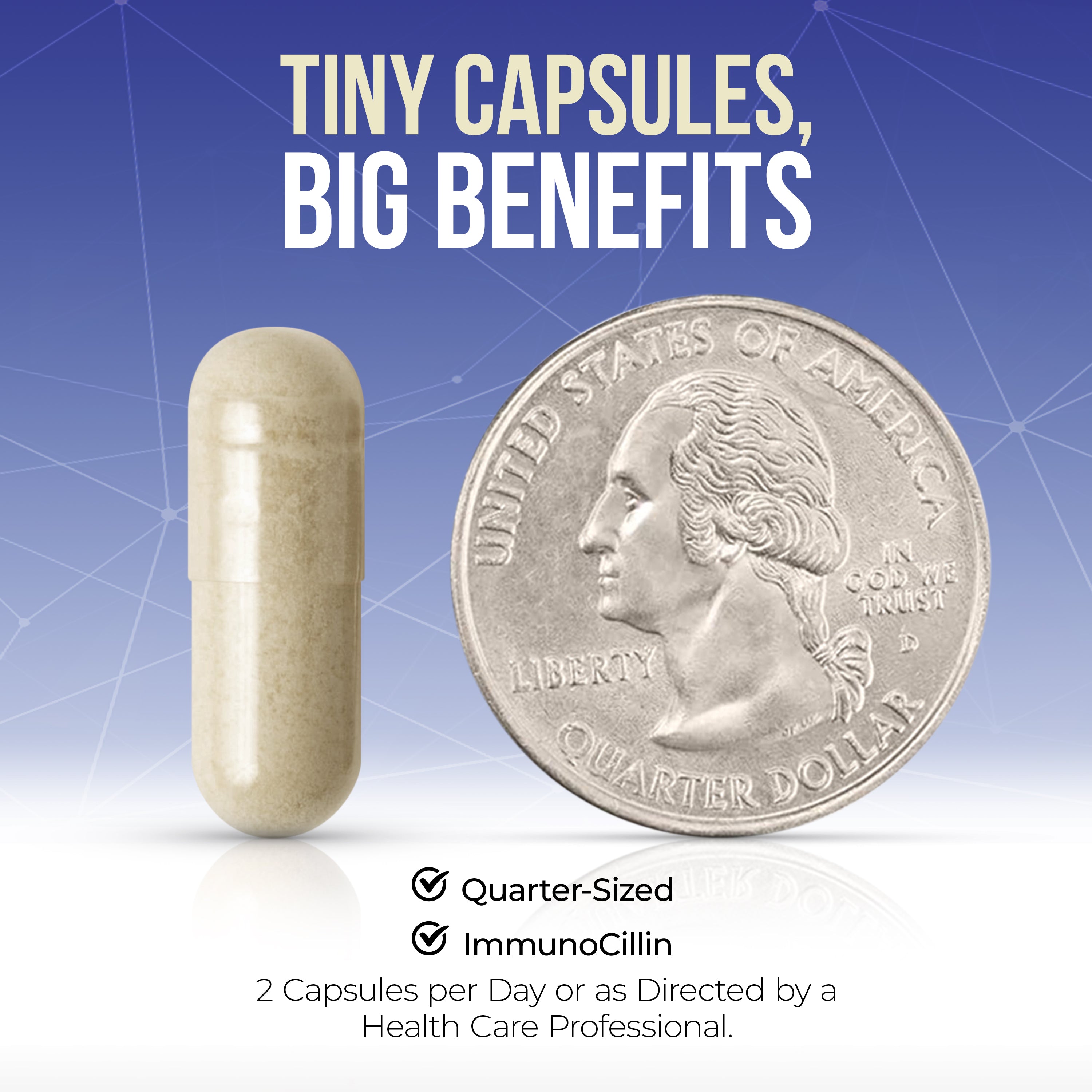 Lactoferrin, Lysozyme, Bovine IgG Supplement | ImmunoCillin